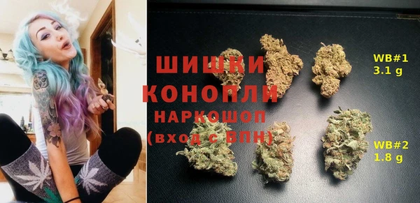 стафф Алексин