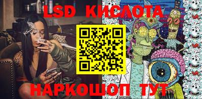 стафф Донецк